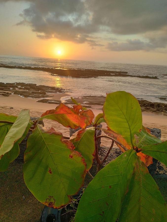 Pousada Tropicalia Tranquilidade A Beira Mar Santa Cruz Cabrália Kültér fotó